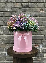 Цветочная композиция из Гипсофила и Розы в шляпной коробке в Чернышевске