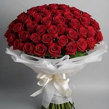 Букет 101 Красная роза Блэк Мэджик в Чернышевске