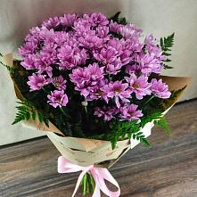 Букет цветов из:  Хризантемы #REPLACE_PRED# Чернышевске