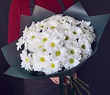 Букет цветов из:  Хризантемы #REPLACE_PRED# Чернышевске