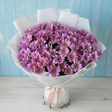 Букет цветов из:  Хризантемы в Чернышевске