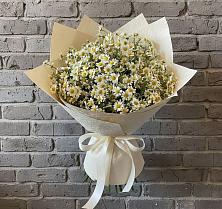 Букет цветов из:  Ромашки #REPLACE_PRED# Чернышевске