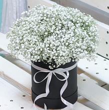 Цветочная композиция из Гипсофила в шляпной коробке #REPLACE_PRED# Чернышевске