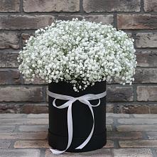 Цветочная композиция из Гипсофила в шляпной коробке в Чернышевске