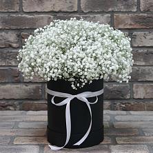 Цветочная композиция из Гипсофила в шляпной коробке в Чернышевске