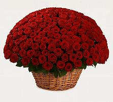 Премиум букет из: Розы в Чернышевске